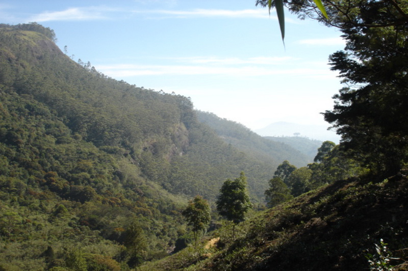 Sri Lanka, Adam’s Peak Sri Pada